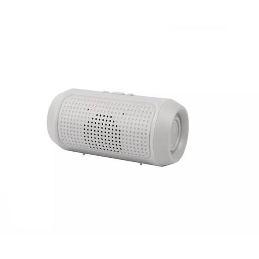 Portable BT Speaker (M-11)