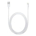 Lightning (iPhone) USB Data Charging Cable (White)
